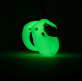 Glow In The Dark Chastity Kits