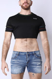 Timoteo Pride 24 Crop Top (TMS233)