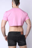 Timoteo Pride 24 Crop Top (TMS233)
