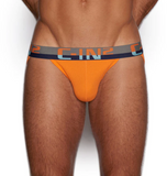 C-IN2 C-Theory Dash Brief (8012A)