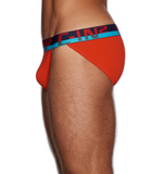 C-IN2 C-Theory Dash Brief (8012A)