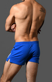 Andrew Christian Phys. Ed. Varsity Shorts (6866)