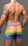 Andrew Christian Pride Mesh Shorts (4" Inseam) (6871)