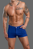 Andrew Christian Hamptons Capsule Beach Shorts (3" Inseam) (6875)
