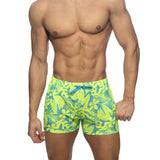 Addicted Calatheas Shorts (AD1366)
