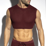 ES Collection Checkmate Midriff Crop Top (TS342)