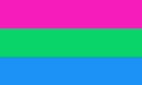 Polysexual Flag Silkscreened 3' x 5' Polyester