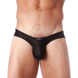 Gregg Homme Voyeur Brief (100603)