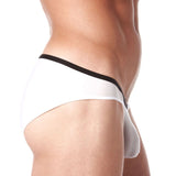 Gregg Homme Voyeur Brief (100603)