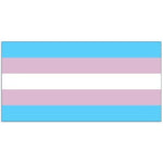 Transgender Flag Silkscreened 3' x 5' Polyester