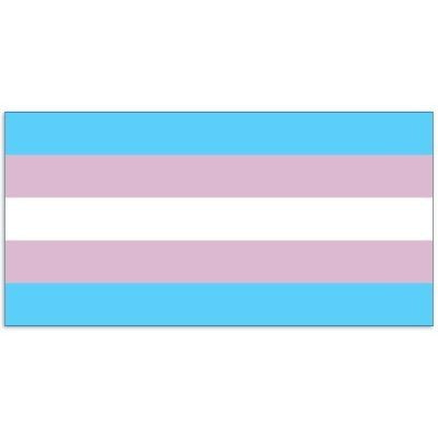 Transgender Flag Silkscreened 3' x 5' Polyester