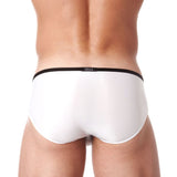 Gregg Homme Voyeur Brief (100603)