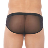 Gregg Homme Erupt Brief (140003)