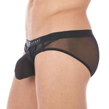 Gregg Homme Erupt Brief (140003)