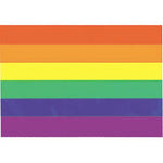 Rainbow Flag Magnet