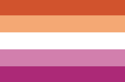 Handheld Lesbian Sunset Flag 12" x 18"