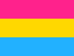 Hand Held Pansexual Flag Silkscreened 12" x 18"