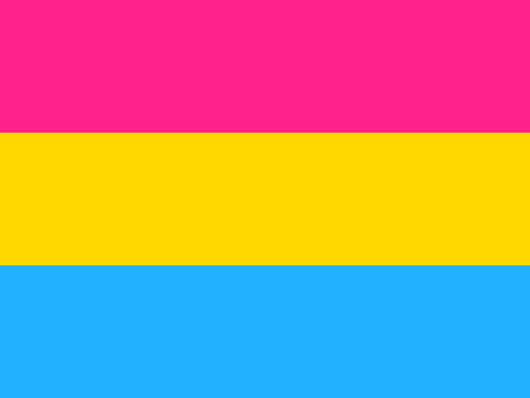 Hand Held Pansexual Flag Silkscreened 4" x 6"