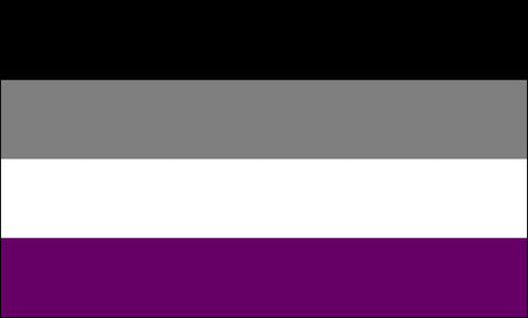 Handheld Asexual Flag 12" x 18"