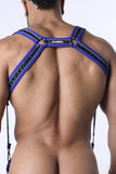 CellBlock13 Carbon Shadow Body Harness (CBS360)