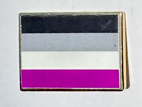 Asexual Flag Lapel Pin