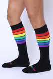 Timoteo Pride 24 Knee High Sock (TMS235)