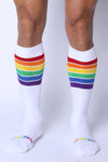 Timoteo Pride 24 Knee High Sock (TMS235)