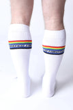 Timoteo Pride 25 Knee High Sock (TMS282)