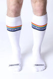 Timoteo Pride 25 Knee High Sock (TMS282)