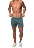 St33le Mesh Grid Stretch Performance Shorts (1466-74)