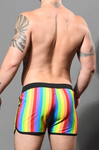 Andrew Christian Pride Stripe Swim Shorts (70099)