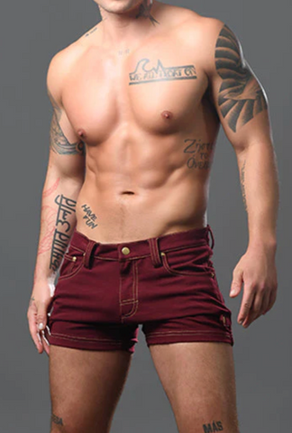 Andrew Christian Skinny Stretch Summer Shorts (6842)