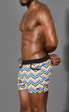 Andrew Christian Carlton Swim Shorts (70133)