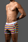 Andrew Christian Pride Wave Swim Shorts (70185)