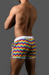 Andrew Christian Pride Wave Swim Shorts (70185)