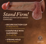 Blush - Renaissance - Raphael 9.5" Sliding Foreskin Dildo w Squeezable Balls (9.33403)