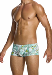 Modus Vivendi Art Nouveau Brazil Cut Swim Boxer (IS2521)