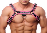 Ruf Leather Bulldog Harnesses (TCI-9224)