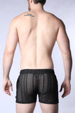 Timoteo Sicily Crochet Mesh Short (TMS255)