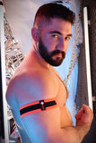 Breedwell After Dark Armbands