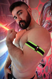 Breedwell After Dark Armbands