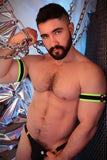 Breedwell After Dark Armbands