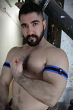 Breedwell After Dark Armbands