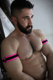 Breedwell After Dark Armbands
