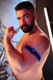 Breedwell After Dark Armbands