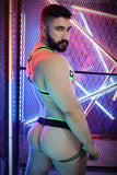 Breedwell After Dark Body Harness