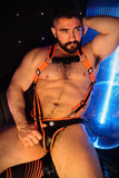Breedwell After Dark Body Harness