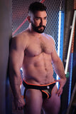 Breedwell After Dark Jock