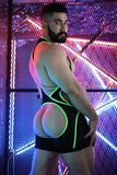 Breedwell After Dark Singlet