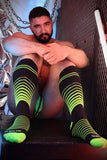 Breedwell After Dark Socks